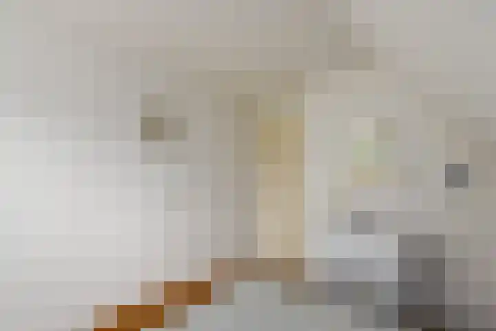 de Pontsjer 21 Nieuwehorne thumbnail 26
