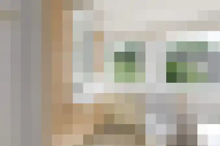 de Pontsjer 21 Nieuwehorne thumbnail 27