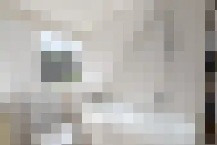 de Pontsjer 21 Nieuwehorne thumbnail 28