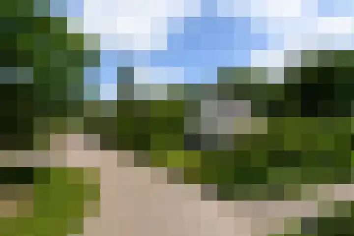 de Pontsjer 21 Nieuwehorne thumbnail 31