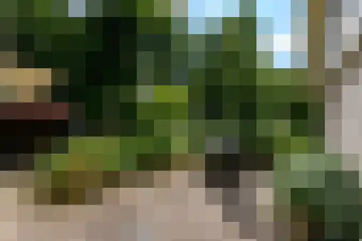 de Pontsjer 21 Nieuwehorne thumbnail 33