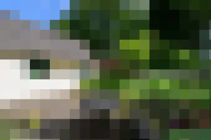 de Pontsjer 21 Nieuwehorne thumbnail 34