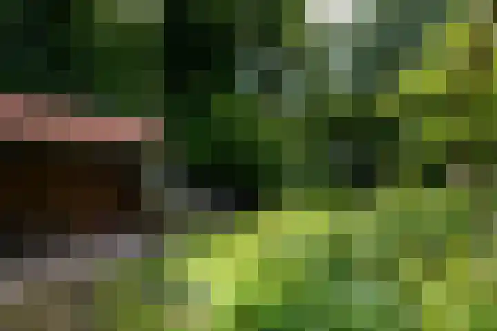 de Pontsjer 21 Nieuwehorne thumbnail 35