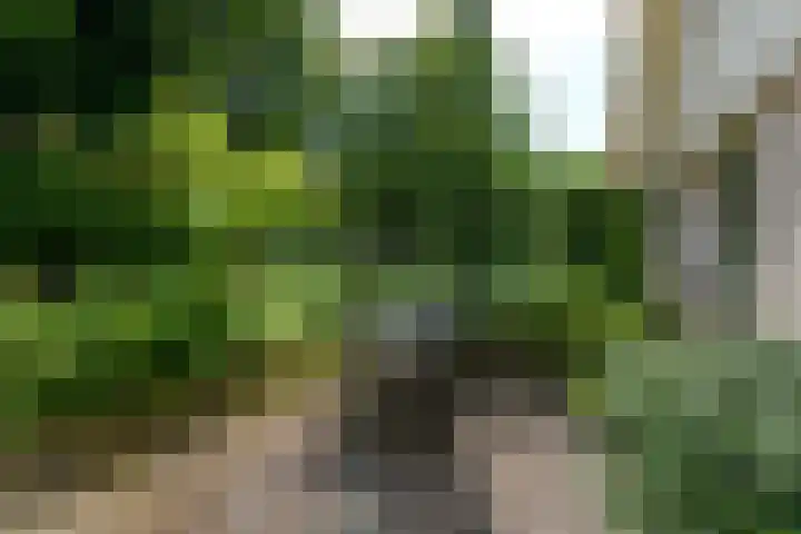 de Pontsjer 21 Nieuwehorne thumbnail 37