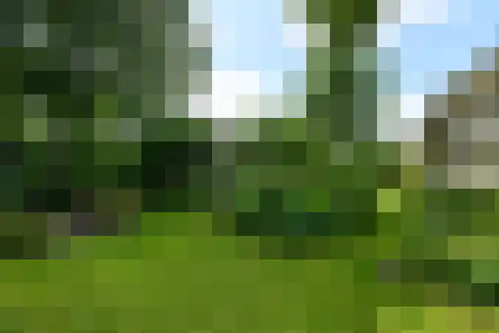de Pontsjer 21 Nieuwehorne thumbnail 38