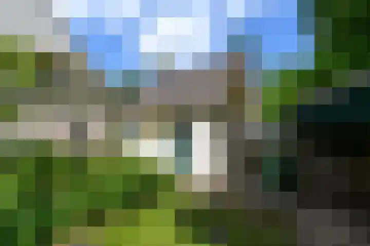 de Pontsjer 21 Nieuwehorne thumbnail 39