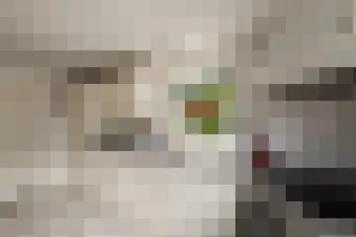 de Pontsjer 21 Nieuwehorne thumbnail 4