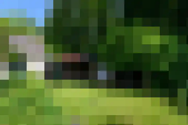 de Pontsjer 21 Nieuwehorne thumbnail 40