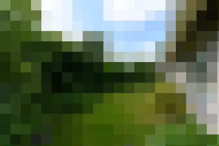 de Pontsjer 21 Nieuwehorne thumbnail 41