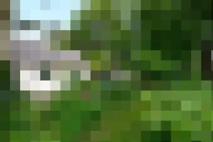 de Pontsjer 21 Nieuwehorne thumbnail 42