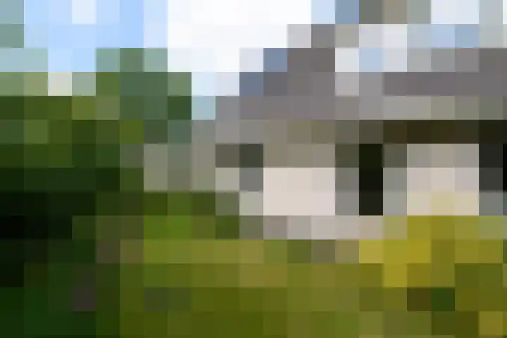 de Pontsjer 21 Nieuwehorne thumbnail 43