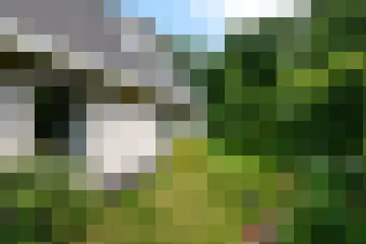 de Pontsjer 21 Nieuwehorne thumbnail 44