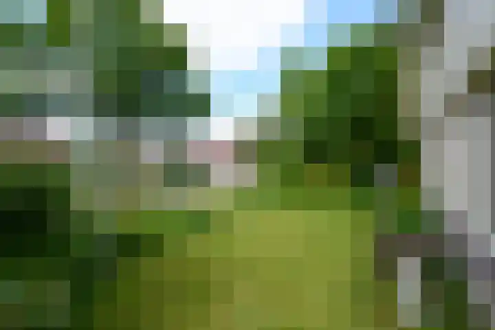 de Pontsjer 21 Nieuwehorne thumbnail 45