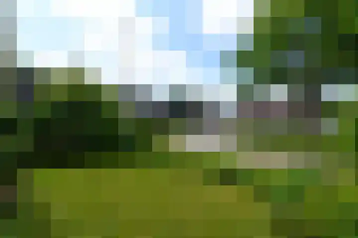 de Pontsjer 21 Nieuwehorne thumbnail 46