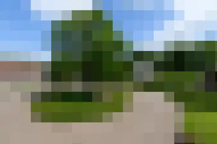 de Pontsjer 21 Nieuwehorne thumbnail 47