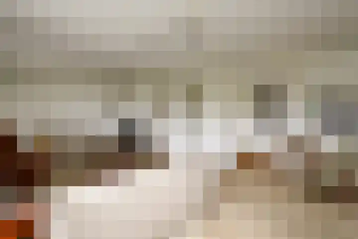 de Pontsjer 21 Nieuwehorne thumbnail 6