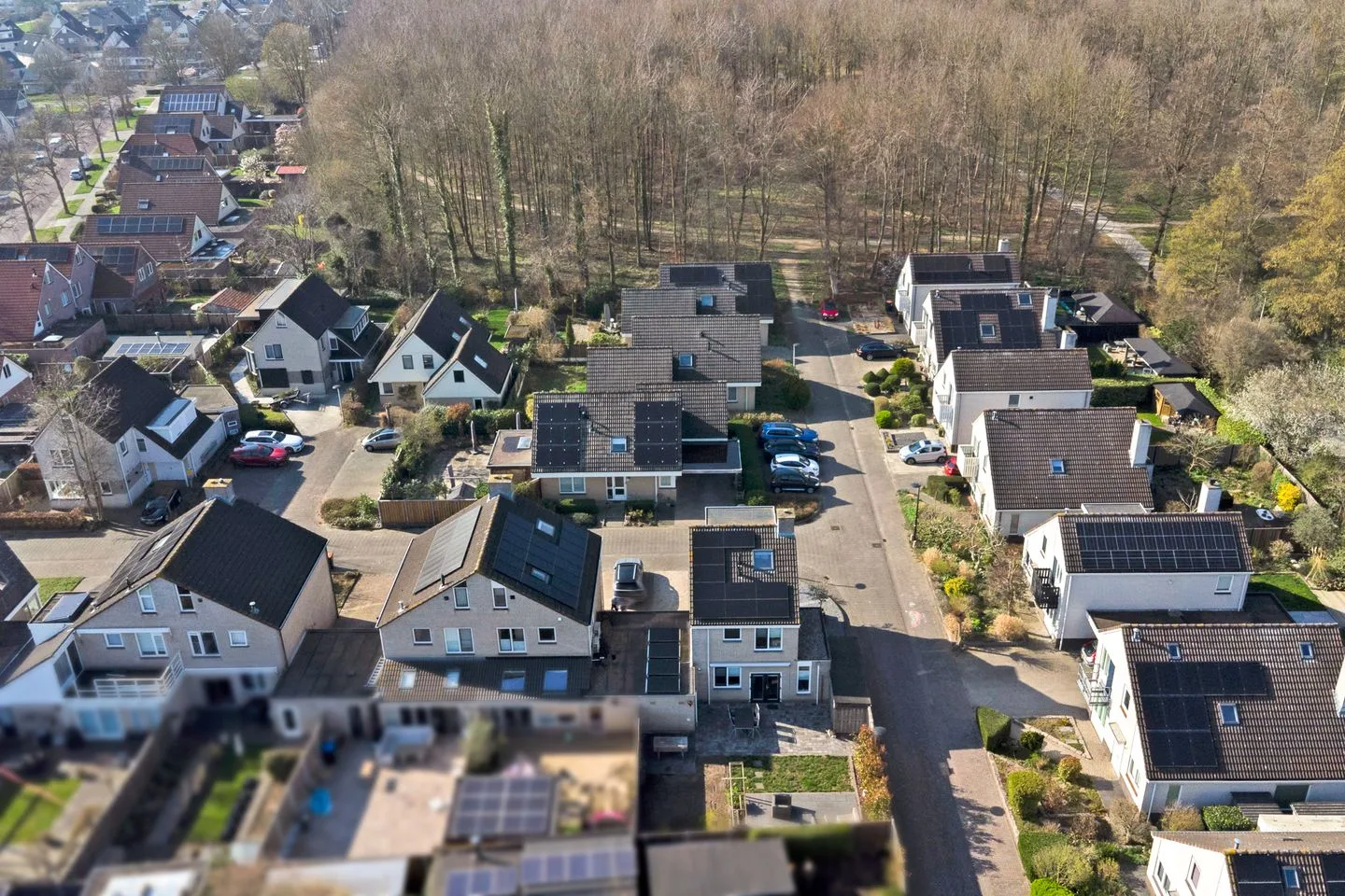 De Pony 18 Dronten thumbnail 37