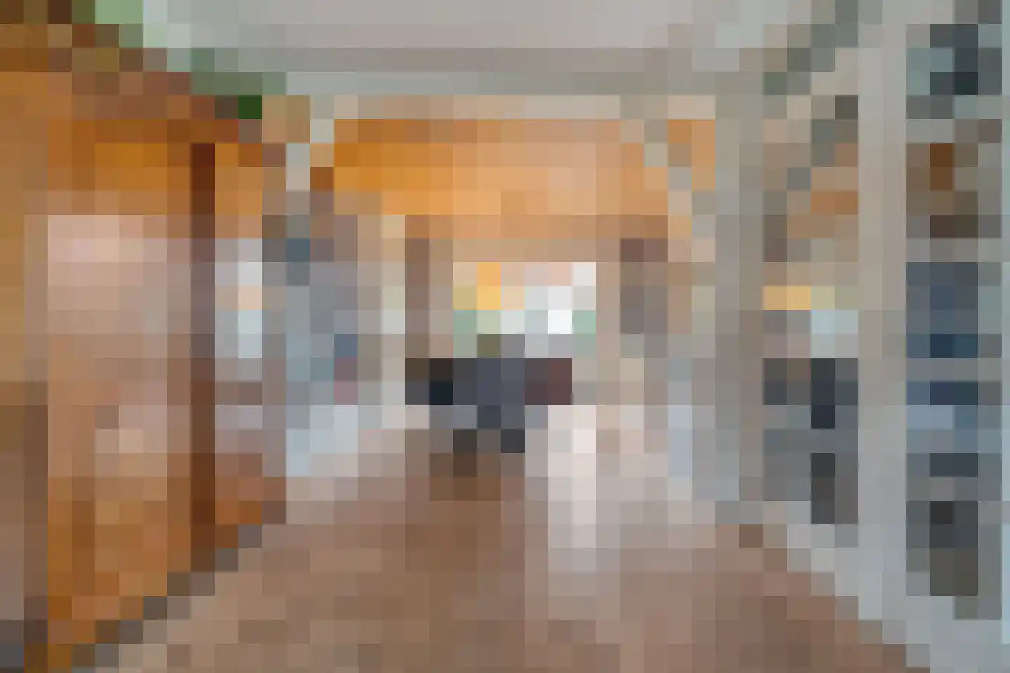 De Pony 2 Dronten thumbnail 12