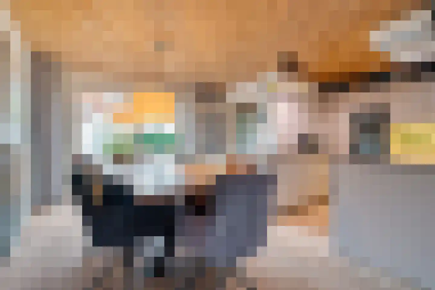 De Pony 2 Dronten thumbnail 13