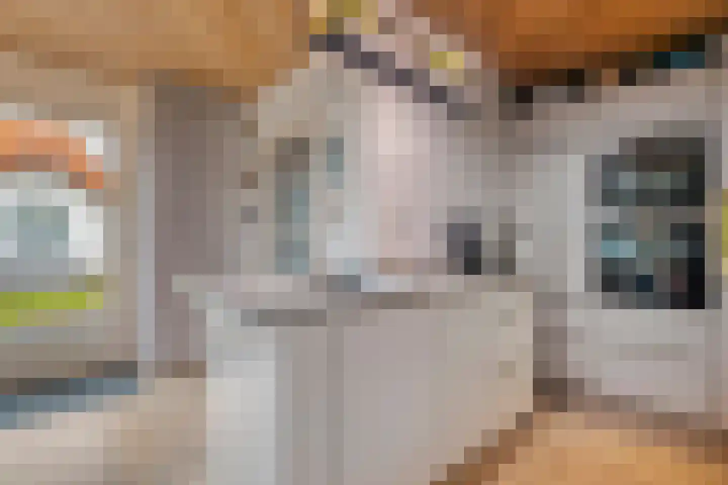 De Pony 2 Dronten thumbnail 14