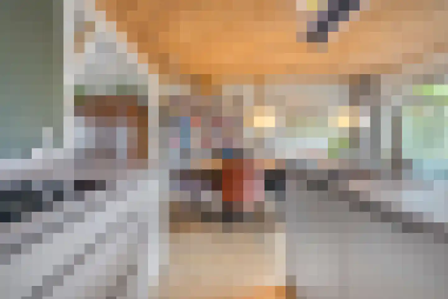 De Pony 2 Dronten thumbnail 15