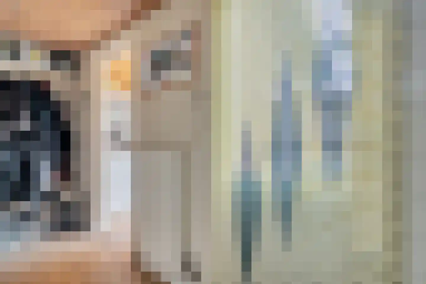De Pony 2 Dronten thumbnail 18