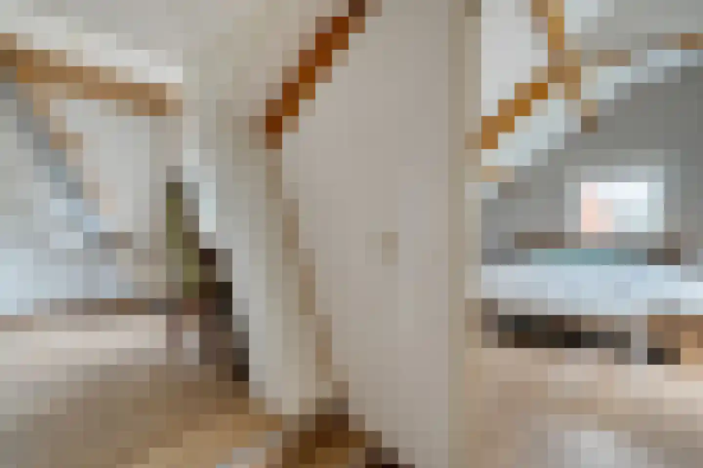 De Pony 2 Dronten thumbnail 23