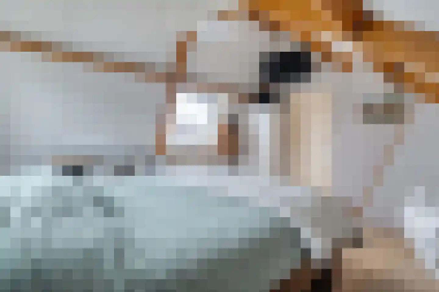 De Pony 2 Dronten thumbnail 24