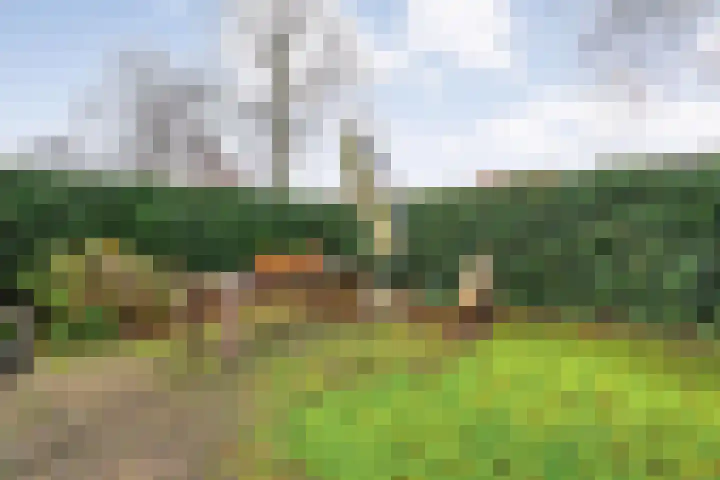 De Pony 2 Dronten thumbnail 37
