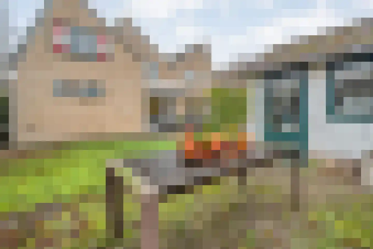 De Pony 2 Dronten thumbnail 38
