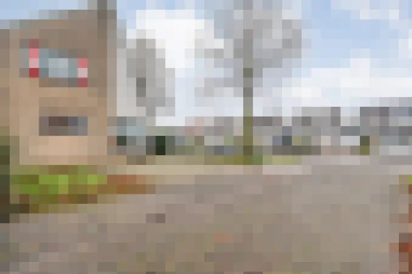De Pony 2 Dronten thumbnail 41