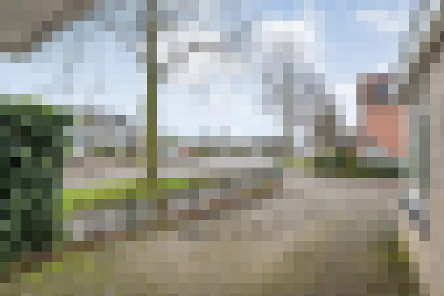 De Pony 2 Dronten thumbnail 42