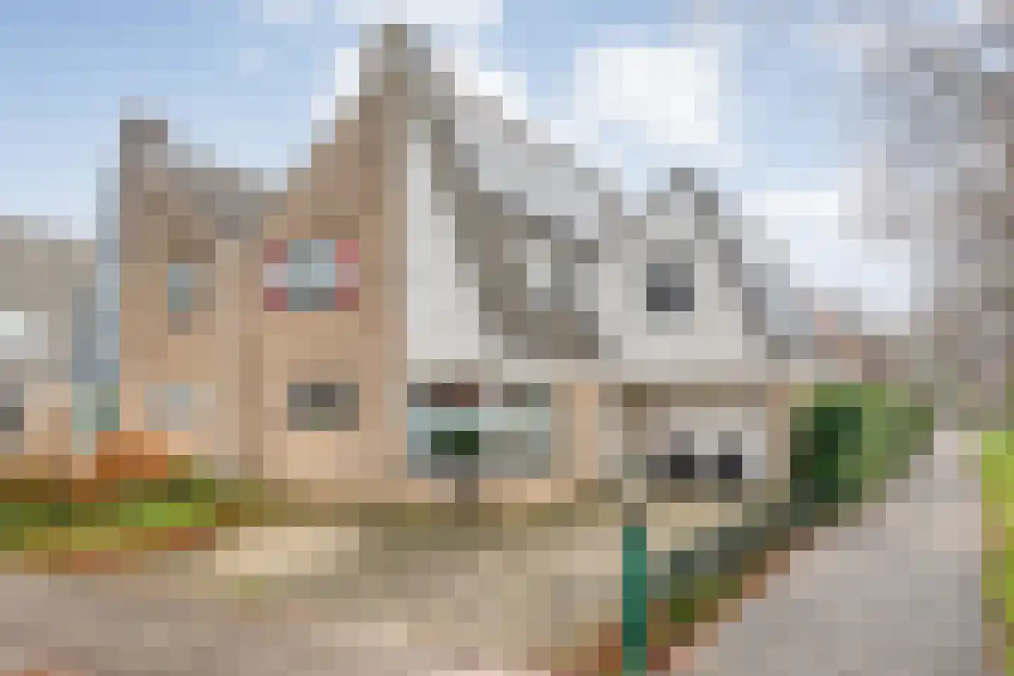 De Pony 2 Dronten thumbnail 5