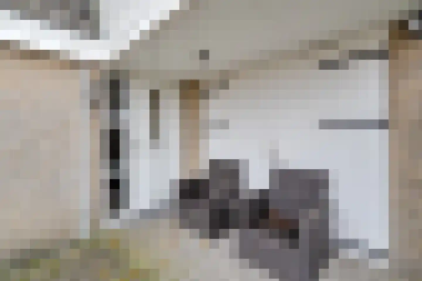 De Pony 2 Dronten thumbnail 6