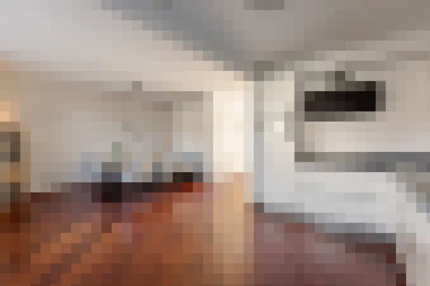 De Poon 11 Makkum thumbnail 11