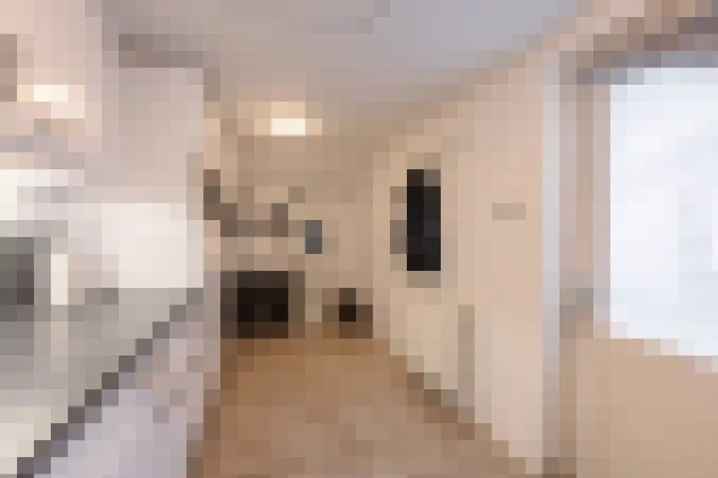 De Poon 11 Makkum thumbnail 13
