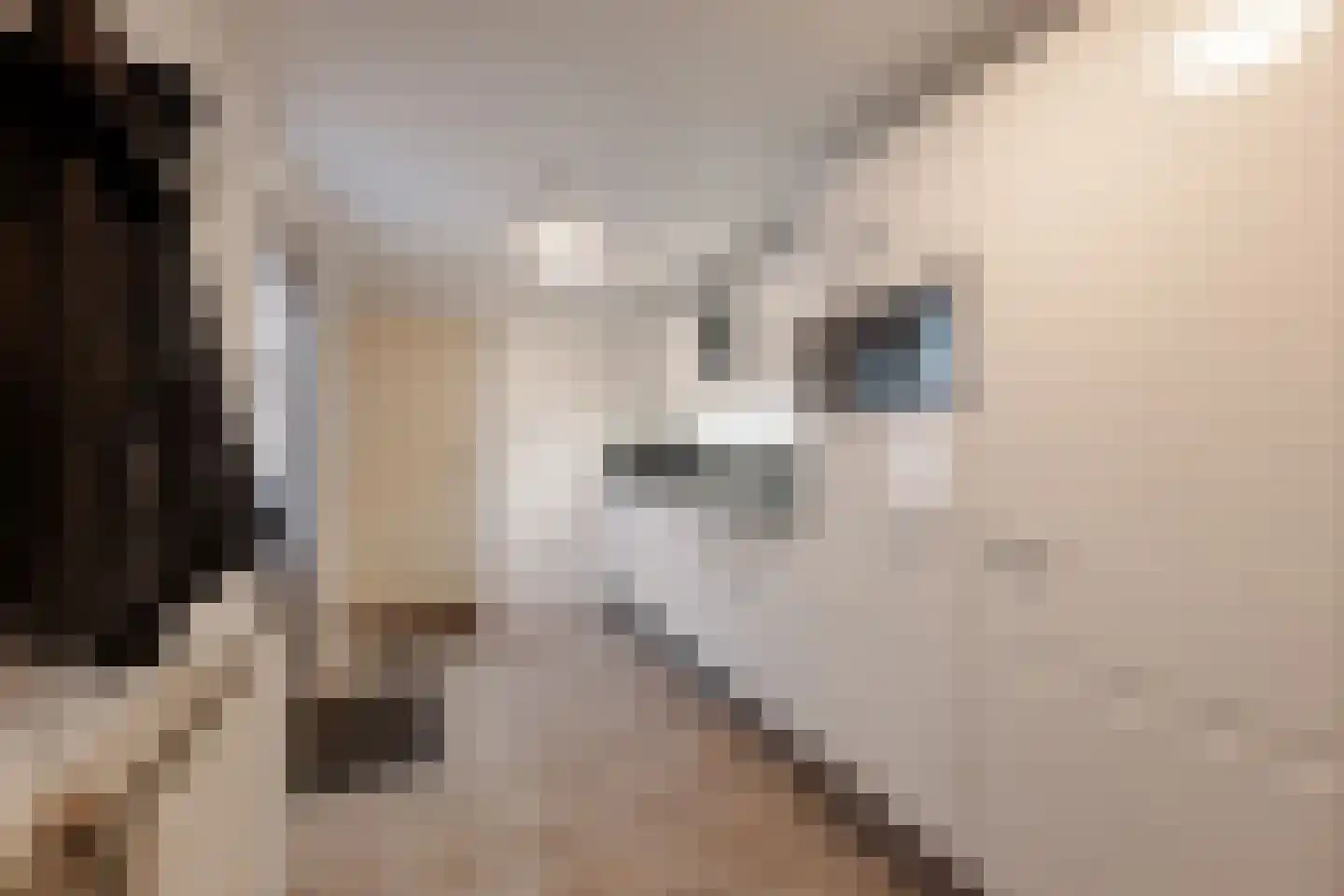 De Poon 11 Makkum thumbnail 14