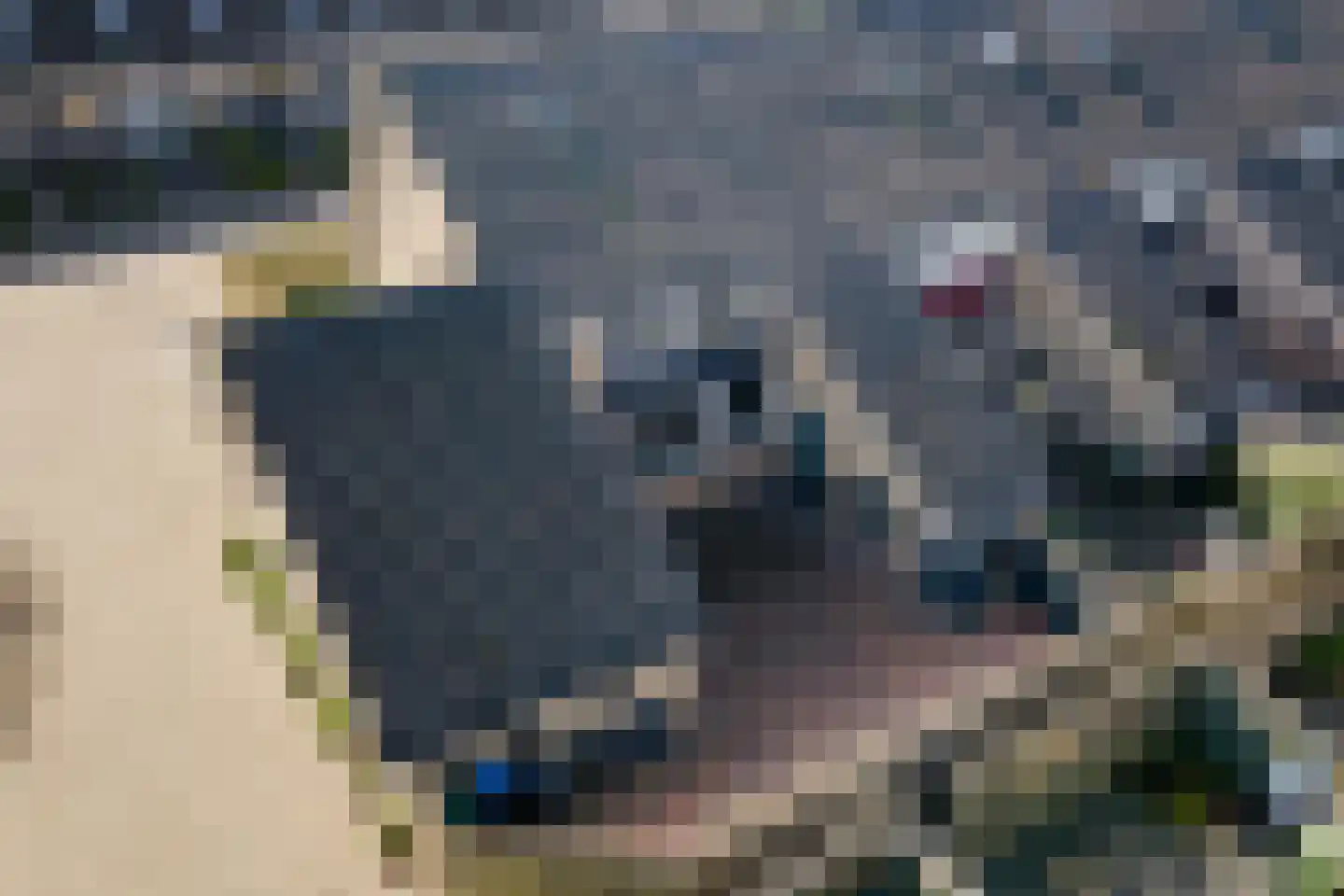 De Poon 11 Makkum thumbnail 18