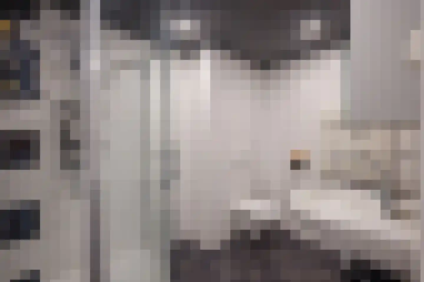 De Poon 11 Makkum thumbnail 21