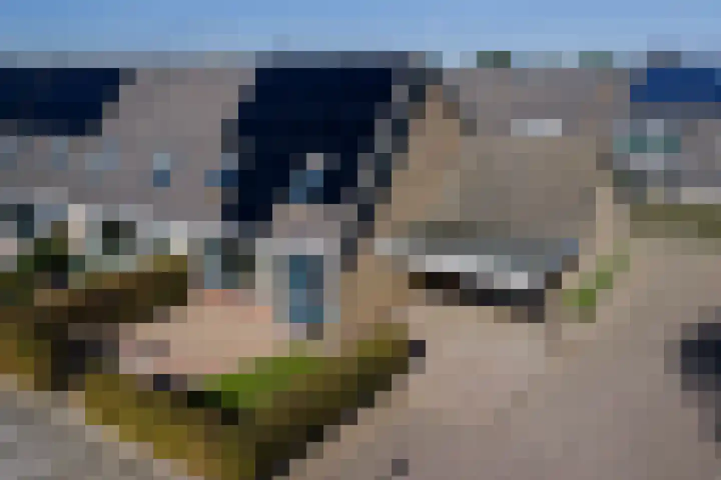 De Poon 11 Makkum thumbnail 28
