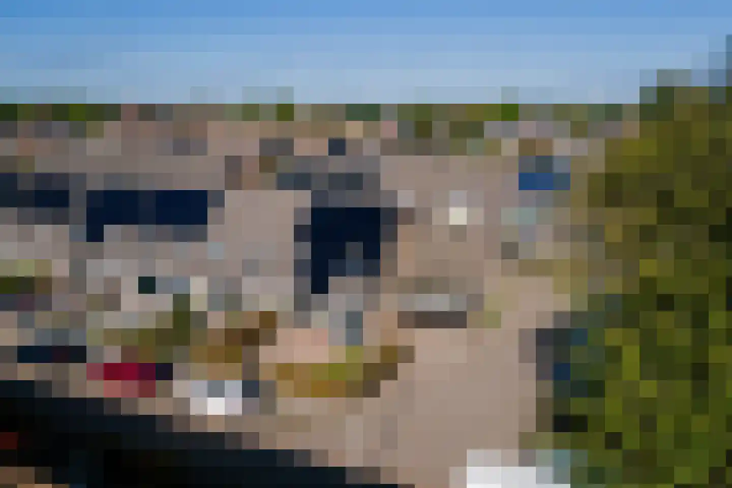De Poon 11 Makkum thumbnail 29