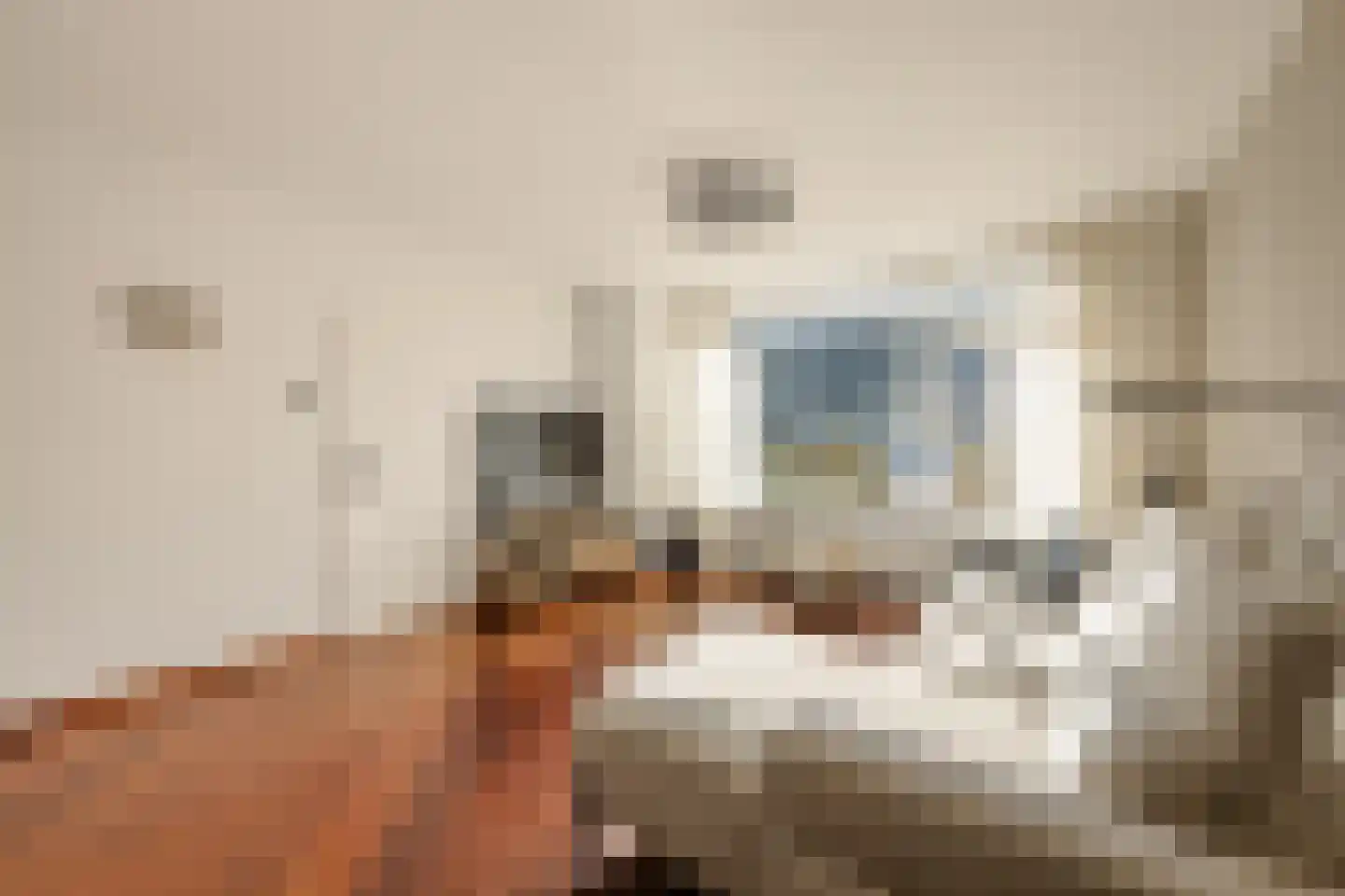 De Poon 11 Makkum thumbnail 9