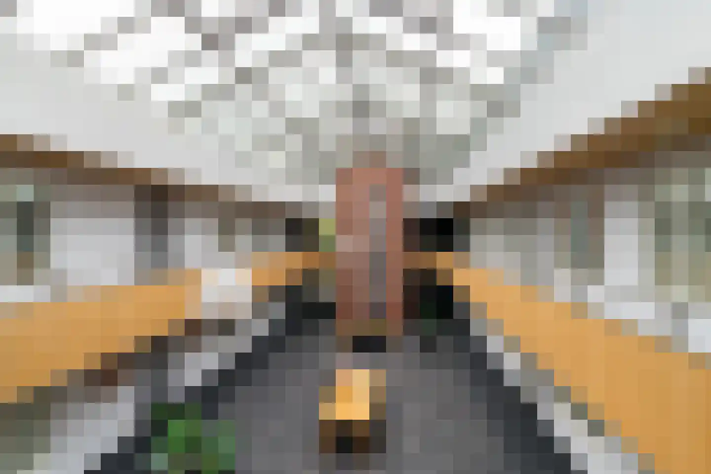 De Poort 12 Andel thumbnail 27
