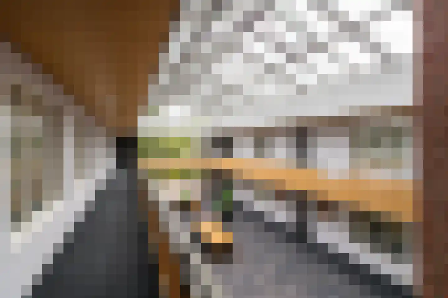 De Poort 12 Andel thumbnail 28