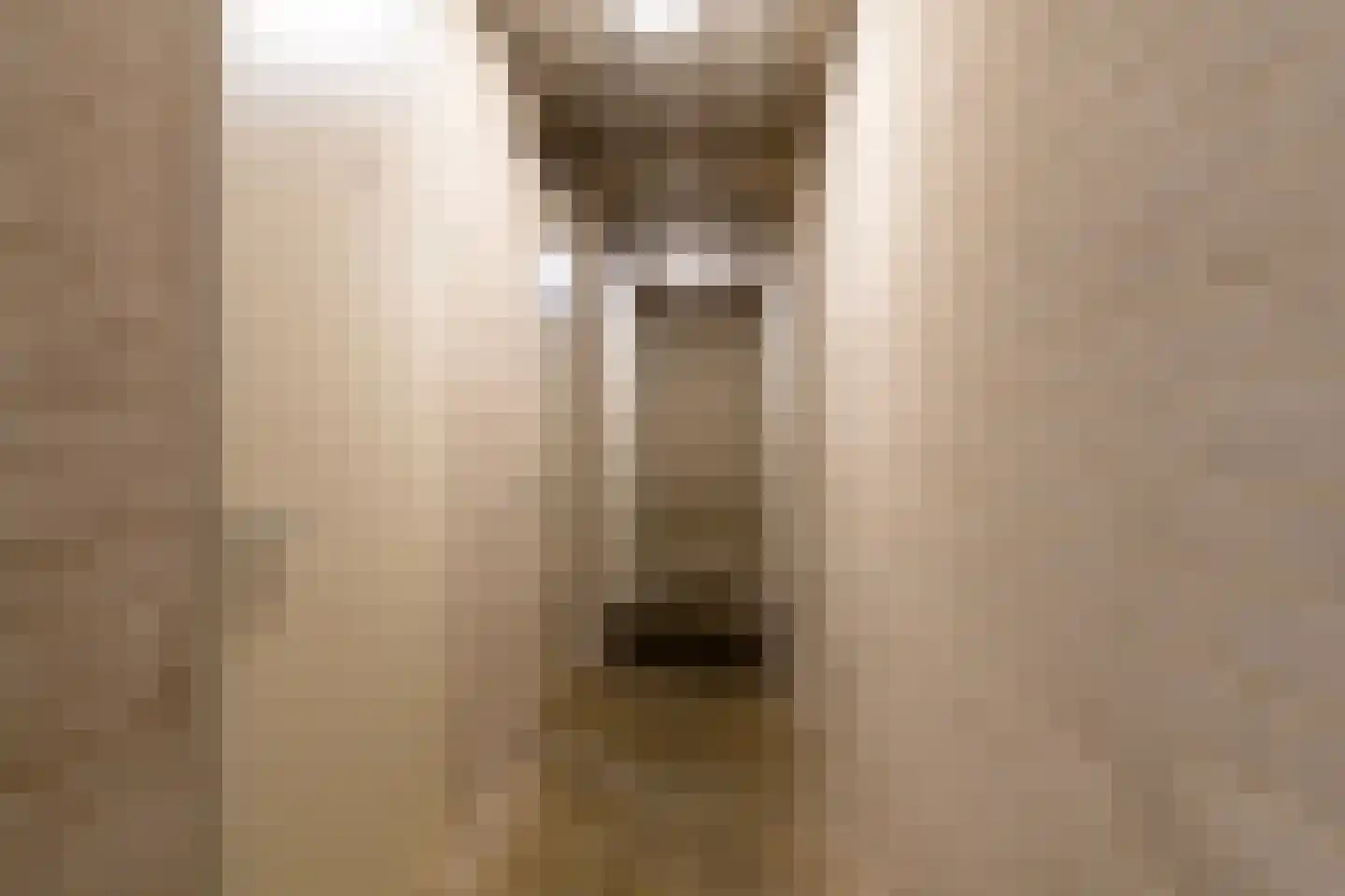 De Poort 12 Andel thumbnail 30