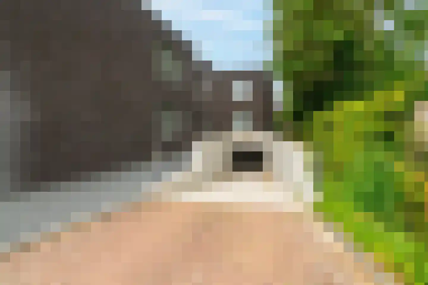 De Poort 12 Andel thumbnail 36