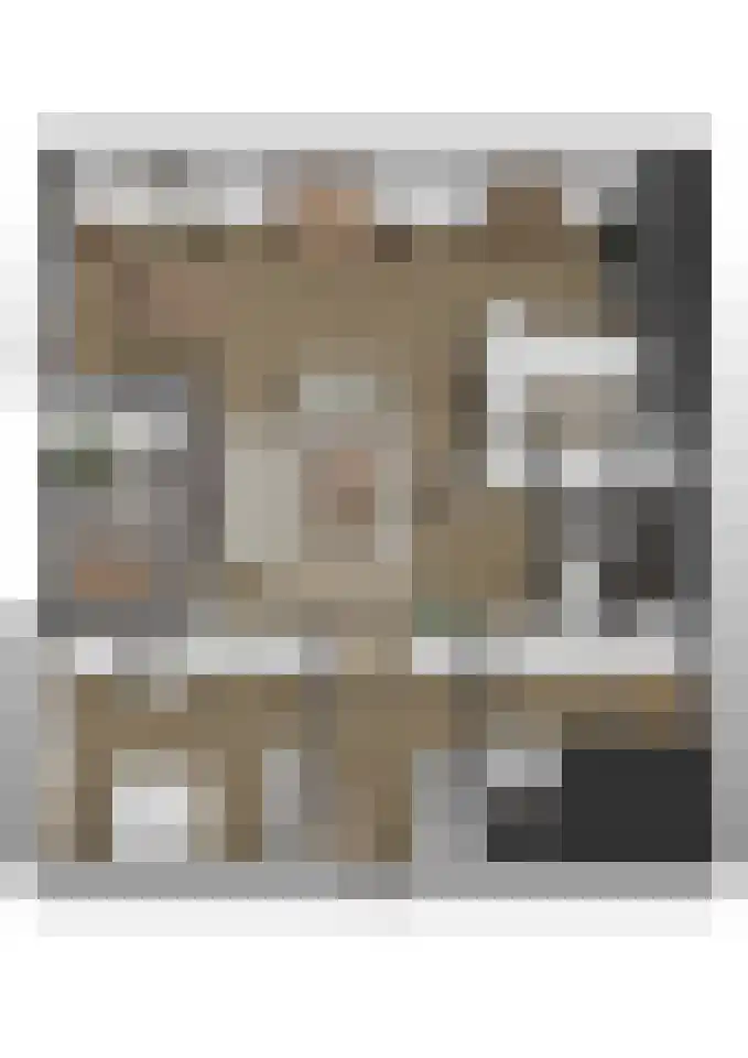 De Poort 12 Andel thumbnail 40