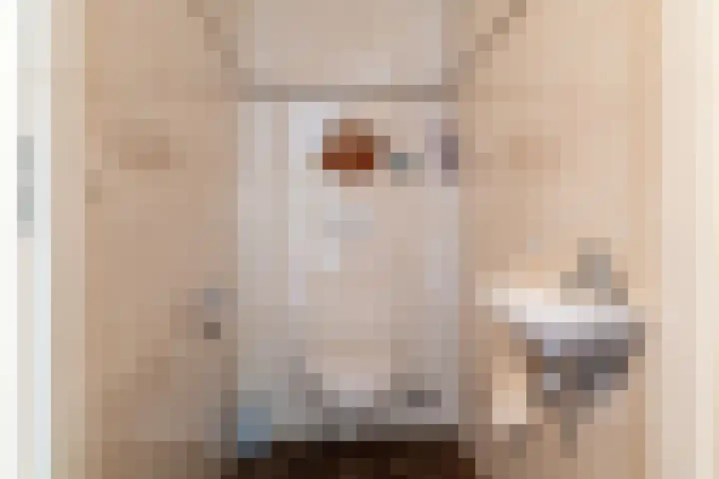 De Poort 12 Andel thumbnail 7