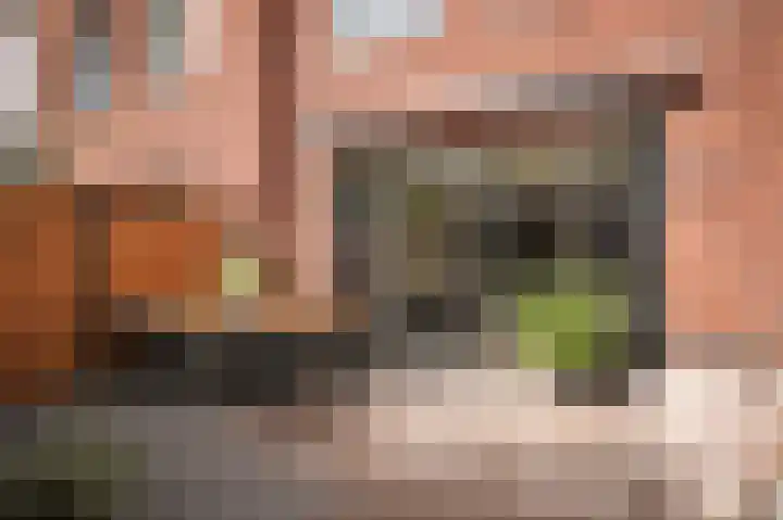 De Poort 12 Kesteren thumbnail 28