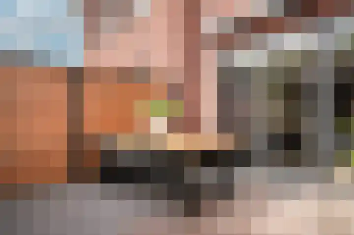 De Poort 12 Kesteren thumbnail 30